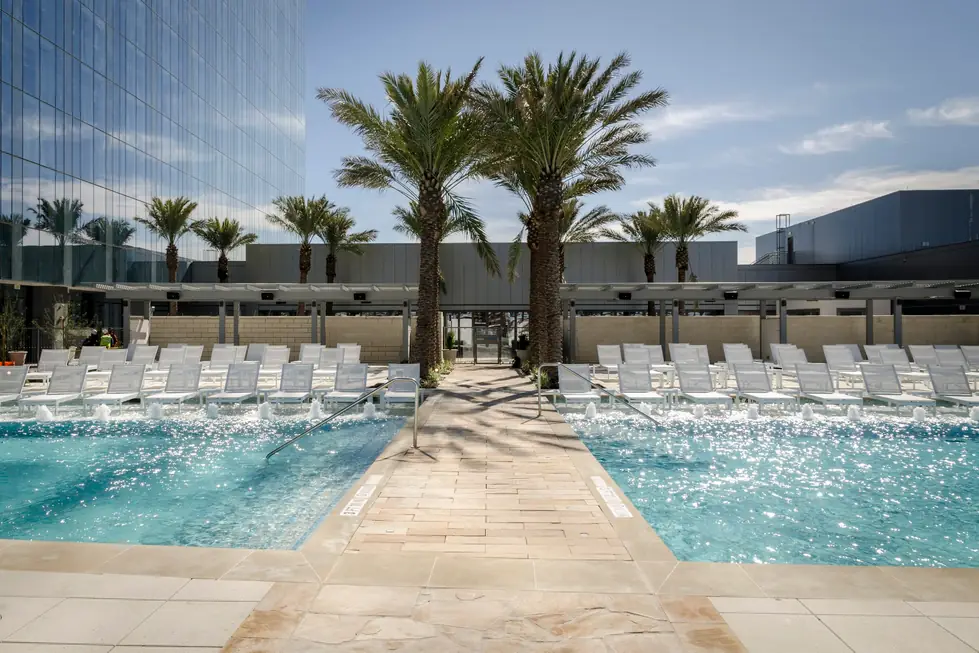 Hotel rooftop pool split by a stone walkway between two palms, water glittering in sun
